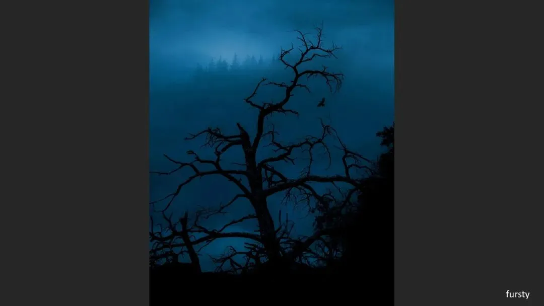 Great Shots in Fog and Haze? Ideas for Fog, Haze and Sandstorm Photography