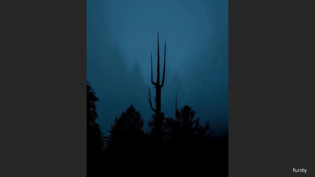 Great Shots in Fog and Haze? Ideas for Fog, Haze and Sandstorm Photography