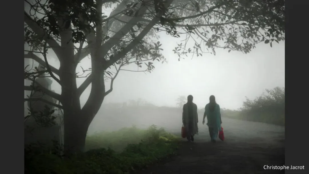 Great Shots in Fog and Haze? Ideas for Fog, Haze and Sandstorm Photography