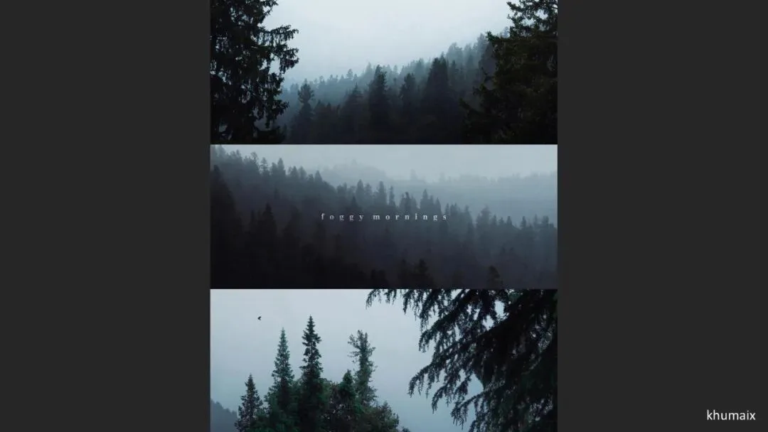 Great Shots in Fog and Haze? Ideas for Fog, Haze and Sandstorm Photography