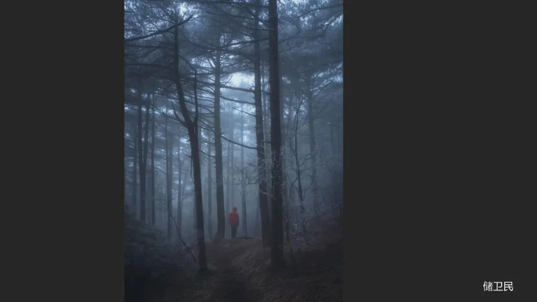 Great Shots in Fog and Haze? Ideas for Fog, Haze and Sandstorm Photography