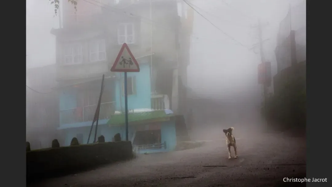 Great Shots in Fog and Haze? Ideas for Fog, Haze and Sandstorm Photography