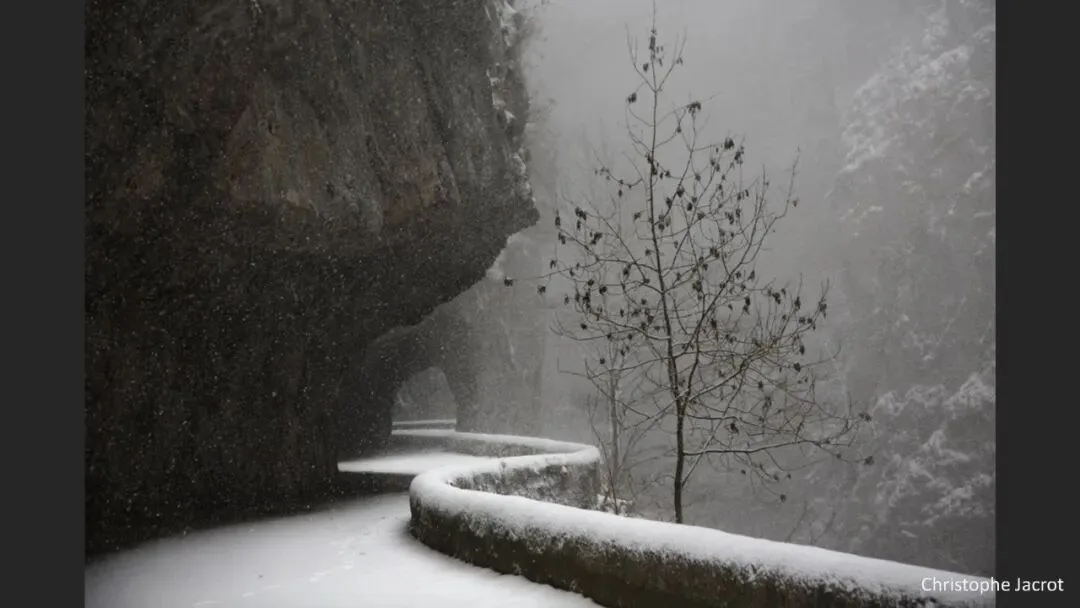 Great Shots in Fog and Haze? Ideas for Fog, Haze and Sandstorm Photography