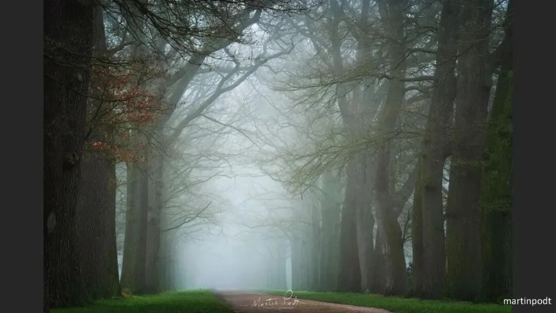 Great Shots in Fog and Haze? Ideas for Fog, Haze and Sandstorm Photography