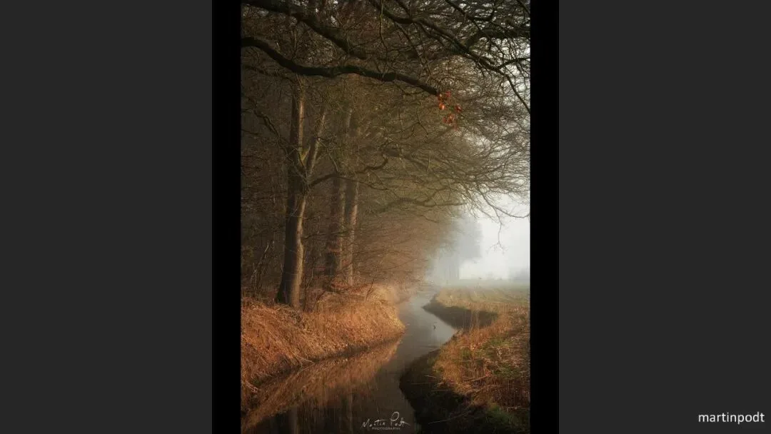 Great Shots in Fog and Haze? Ideas for Fog, Haze and Sandstorm Photography