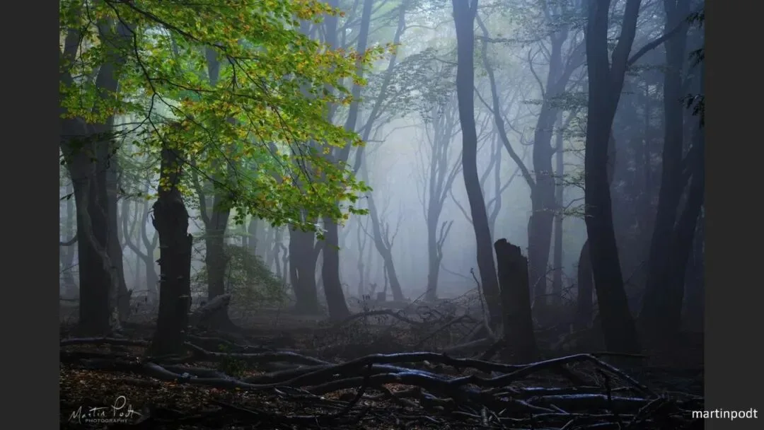 Great Shots in Fog and Haze? Ideas for Fog, Haze and Sandstorm Photography