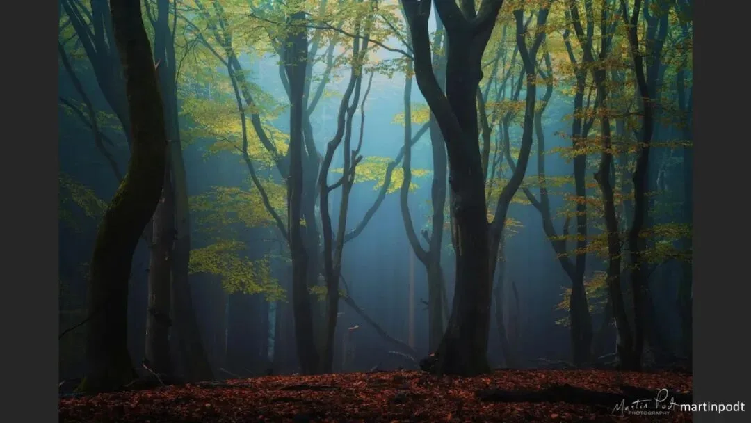 Great Shots in Fog and Haze? Ideas for Fog, Haze and Sandstorm Photography