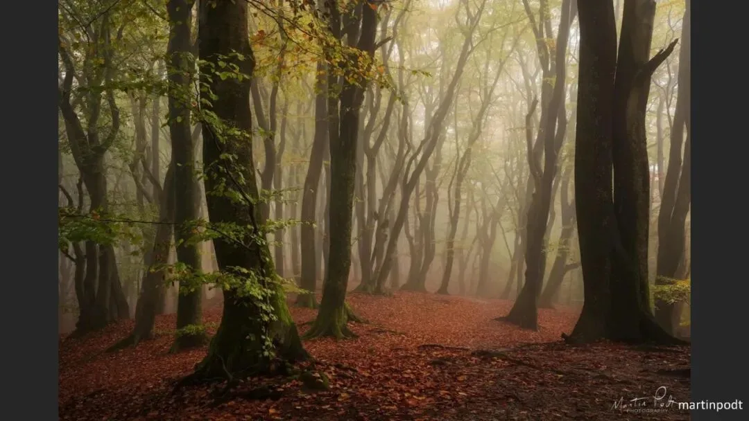 Great Shots in Fog and Haze? Ideas for Fog, Haze and Sandstorm Photography