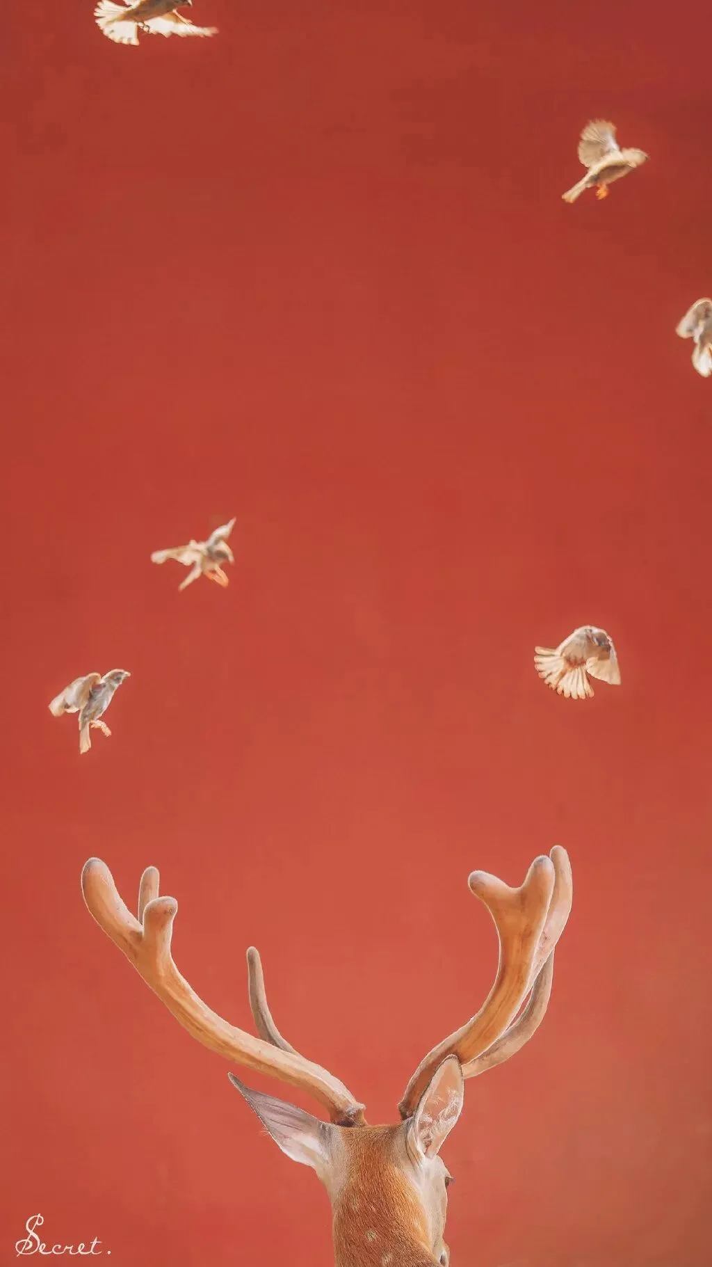 这几位摄影师镜头下的故宫，美得不像话！