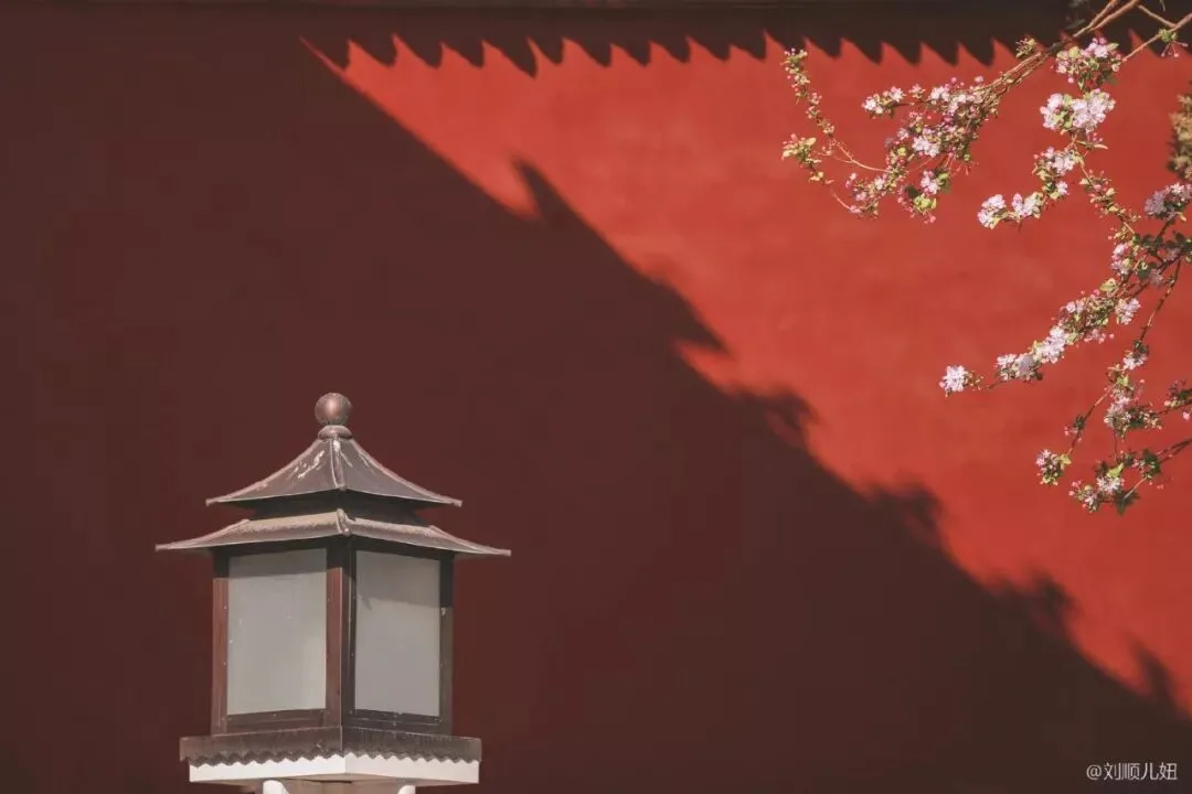 这几位摄影师镜头下的故宫，美得不像话！