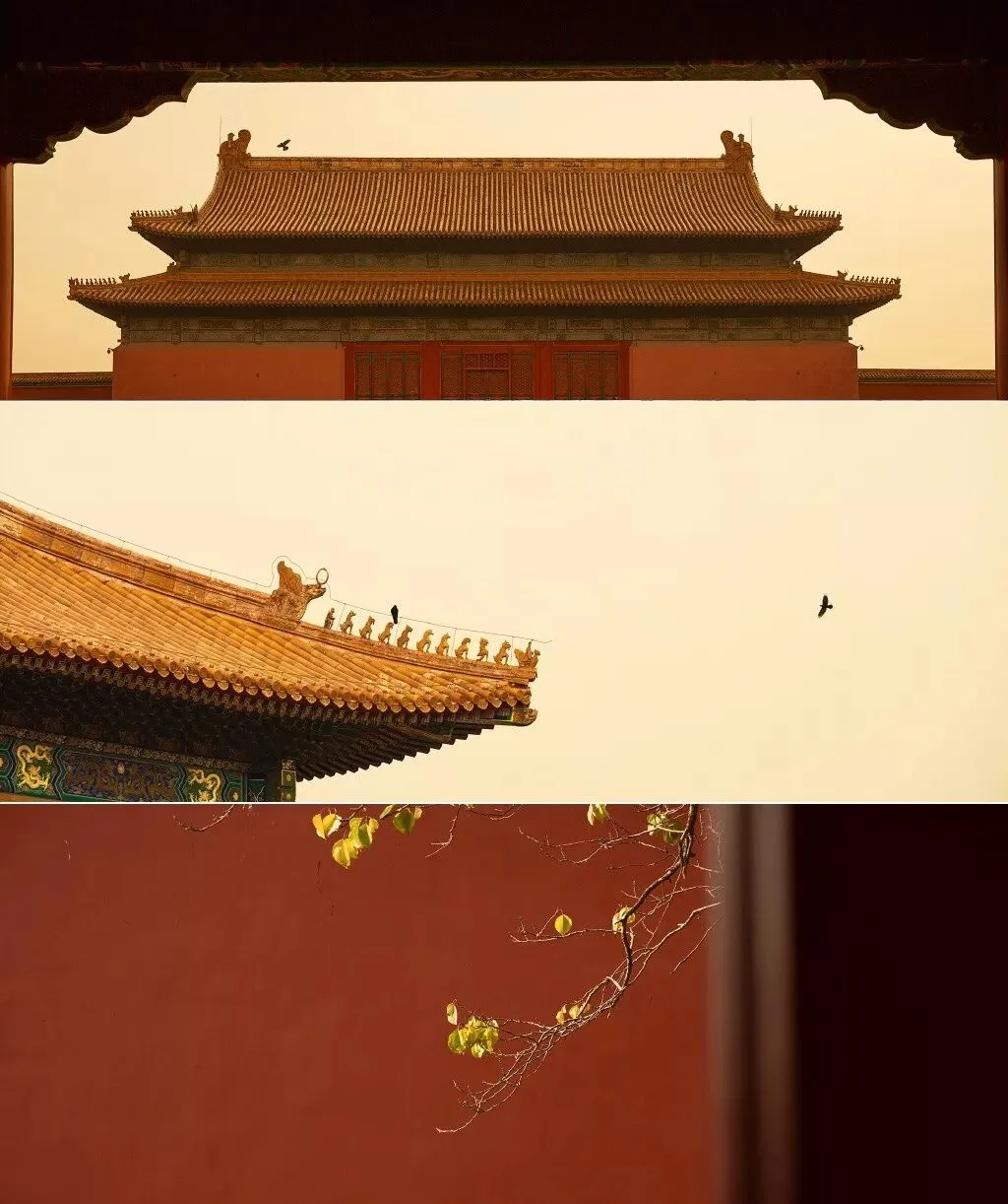 这几位摄影师镜头下的故宫，美得不像话！