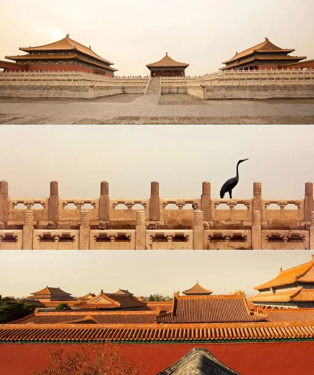 这几位摄影师镜头下的故宫，美得不像话！