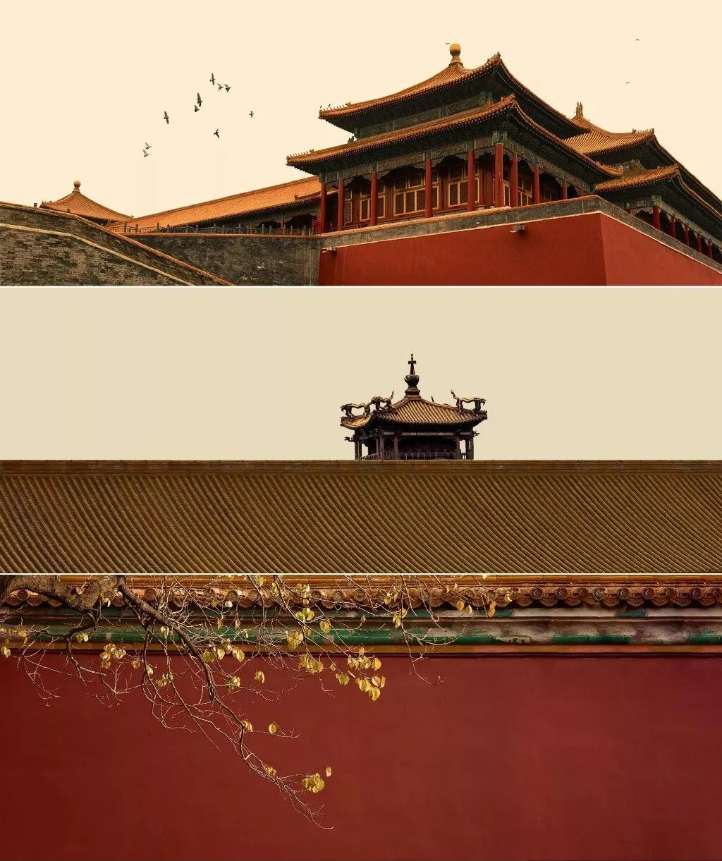 这几位摄影师镜头下的故宫，美得不像话！