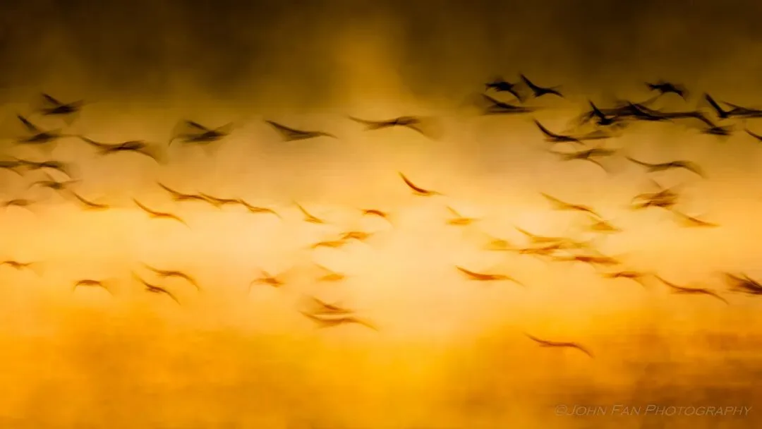 Dialogue with Four Photography Masters