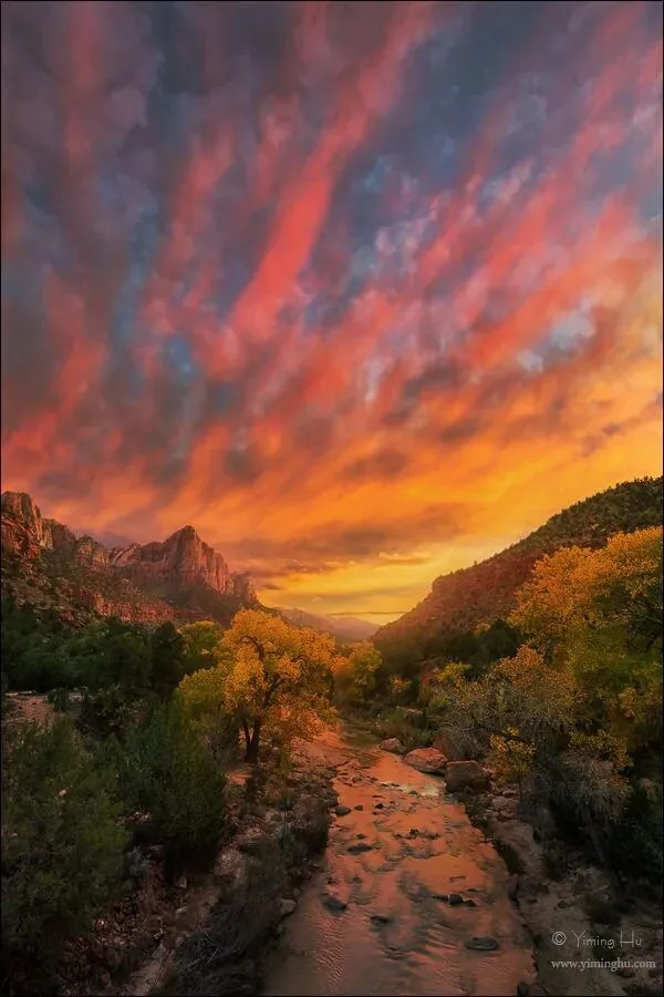 Dialogue with Four Photography Masters