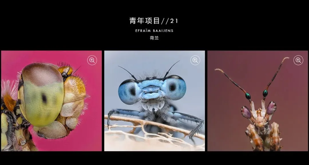 如何成为哈苏大师？我总结出大奖摄影师具有的三大共性！