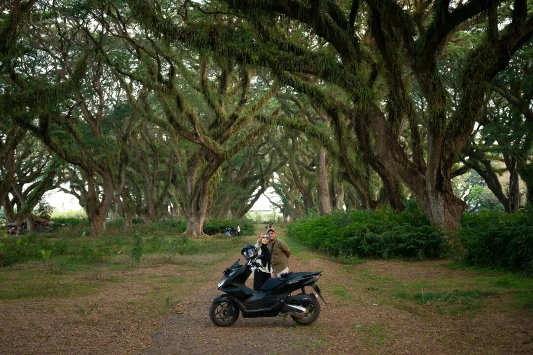 In Indonesia, I Photographed the Upward Force of Life | Tree Series