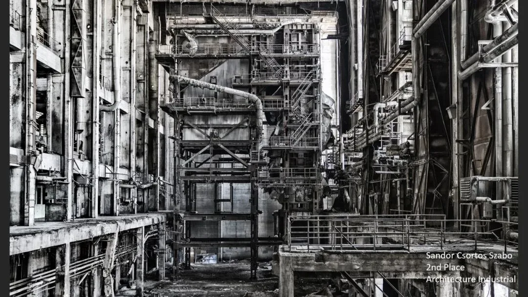 IPA摄影大赛获奖赏析！2023年摄影师都在怎么拍？