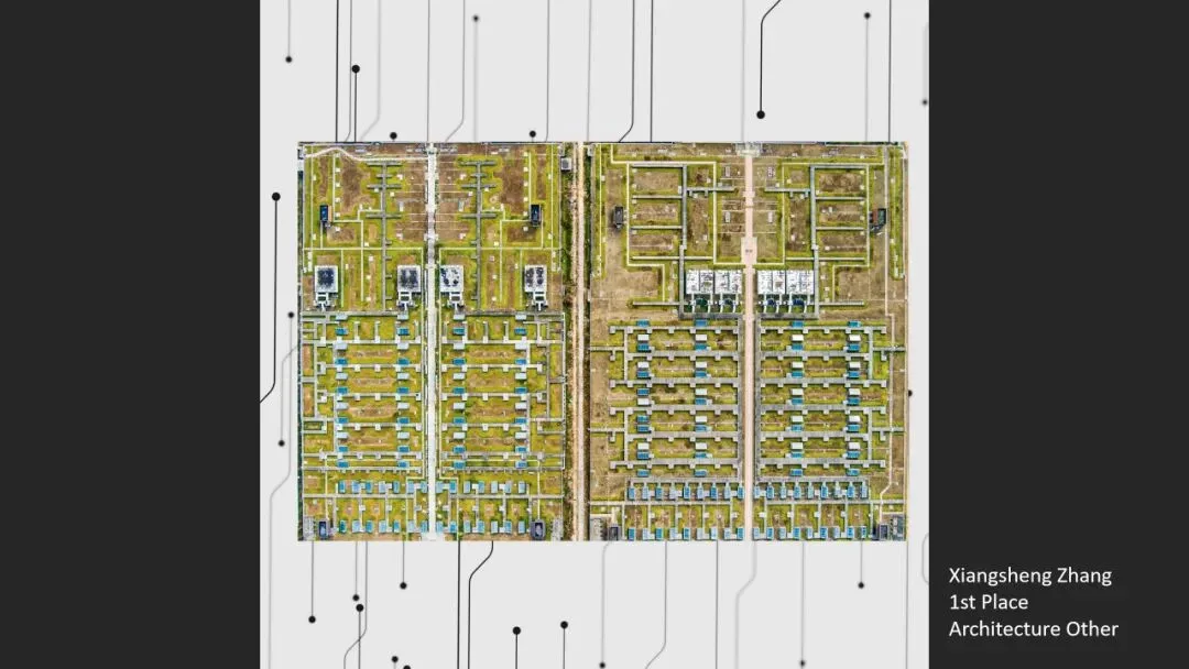 IPA摄影大赛获奖赏析！2023年摄影师都在怎么拍？