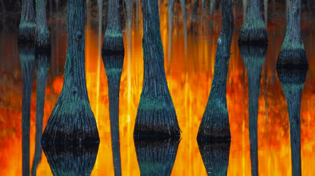 视觉盛宴，2018年最好看的101张自然风光照片