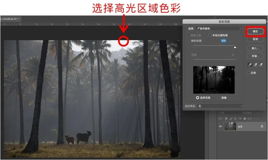 Post-Processing Secrets: Every Way to Create Light Rays