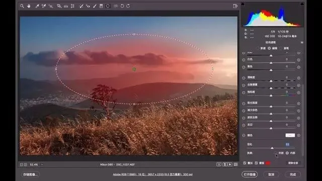 如何用局部滤镜重塑照片光影（视频教程）