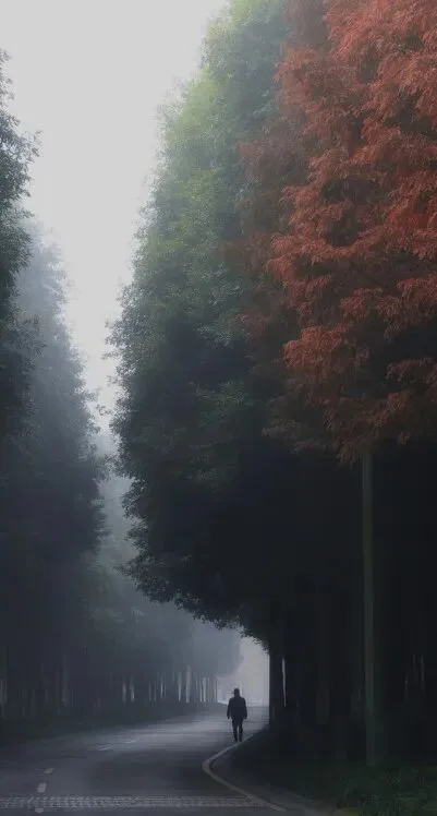 这些壮丽的路与桥，是前浪留给后浪们最美的礼物