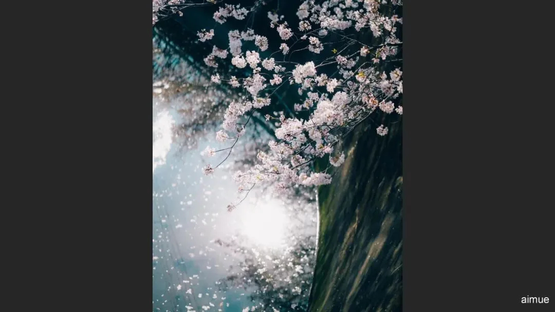 谁说中午不能拍大片？正午顶光摄影思路分享！