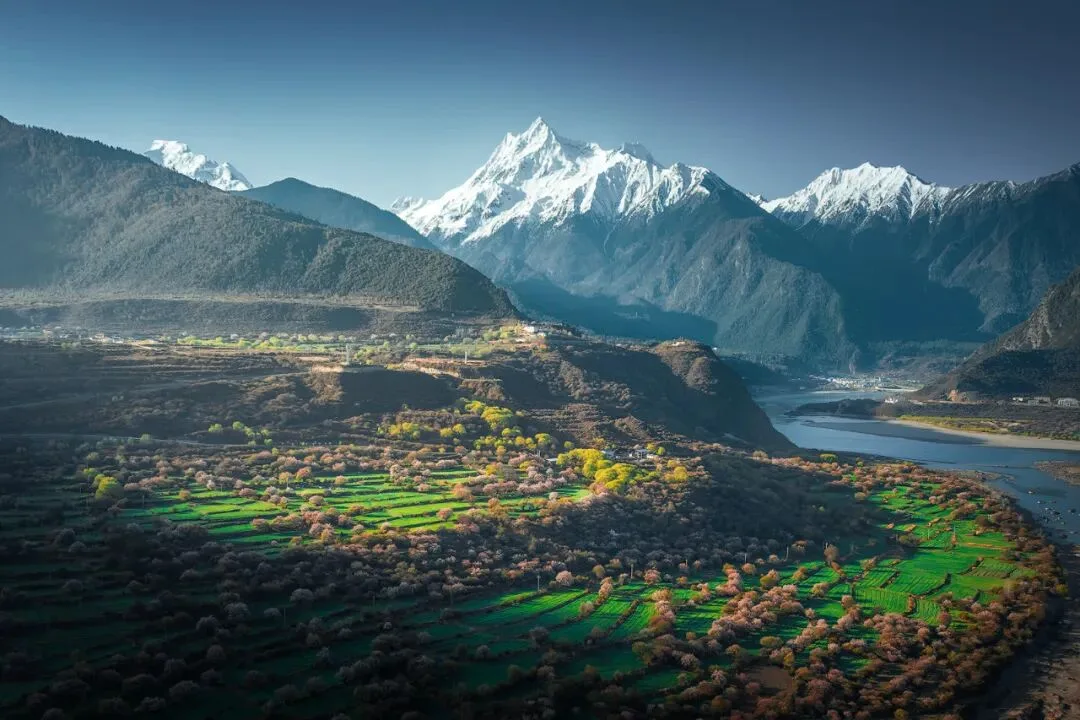 Snow Peaks & Peach Blossoms: A Live Tutorial in Suosong Village Under Mt. Namcha Barwa