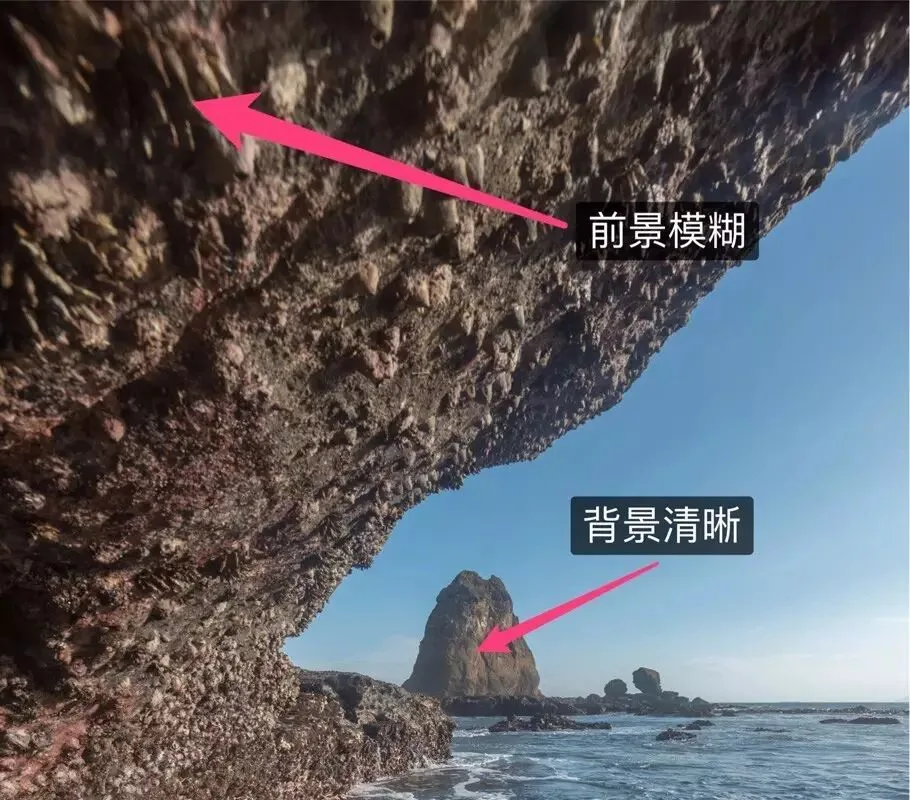 ​一些新片和思考