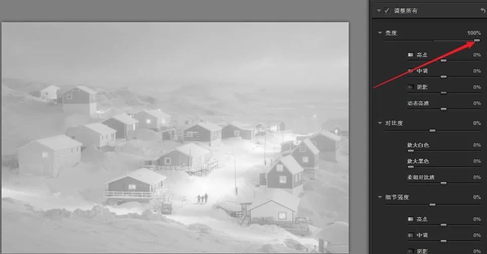 Nik Silver Efex Pro: Crafting Black-and-White Masterpieces