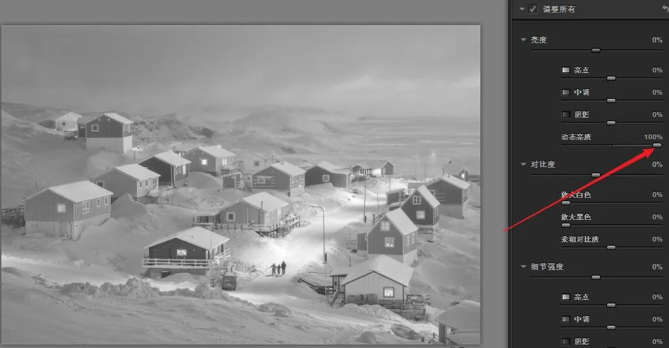 Nik Silver Efex Pro: Crafting Black-and-White Masterpieces