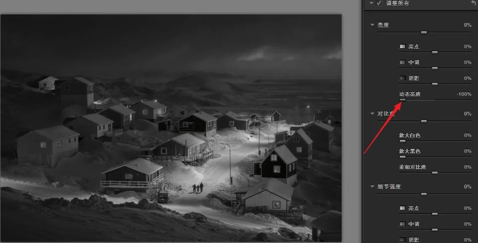 Nik Silver Efex Pro: Crafting Black-and-White Masterpieces
