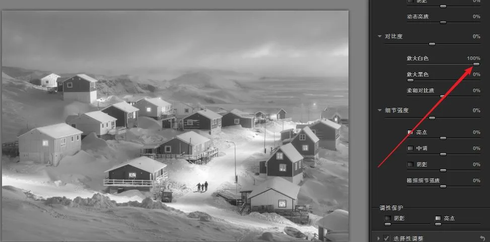 Nik Silver Efex Pro: Crafting Black-and-White Masterpieces