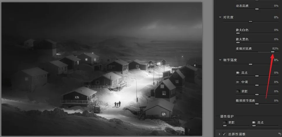 Nik Silver Efex Pro: Crafting Black-and-White Masterpieces