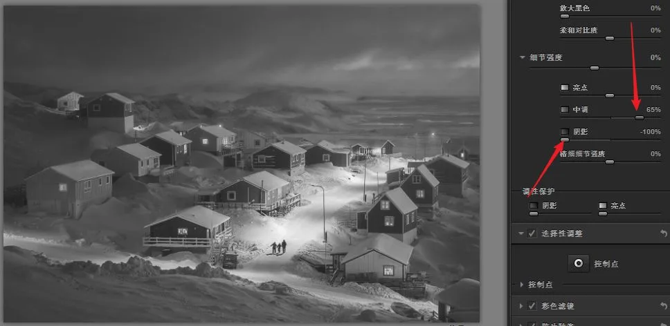 Nik Silver Efex Pro: Crafting Black-and-White Masterpieces