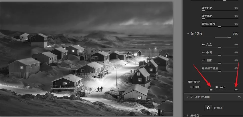 Nik Silver Efex Pro: Crafting Black-and-White Masterpieces