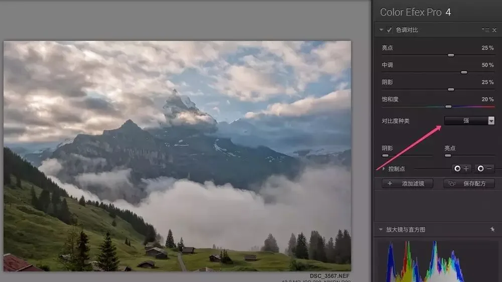 Boost Photo Detail: Nik Tonal Contrast Filter Explained