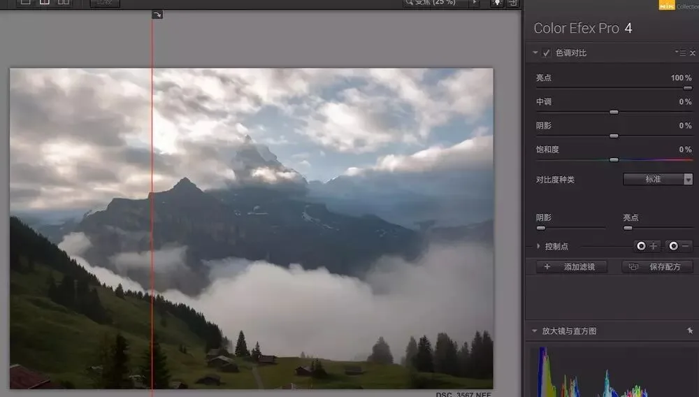 Boost Photo Detail: Nik Tonal Contrast Filter Explained