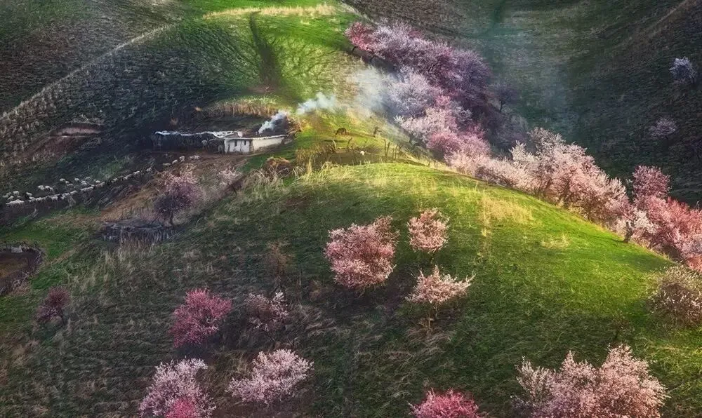 推荐 | 摄影作品绝不是细节和技术的堆砌