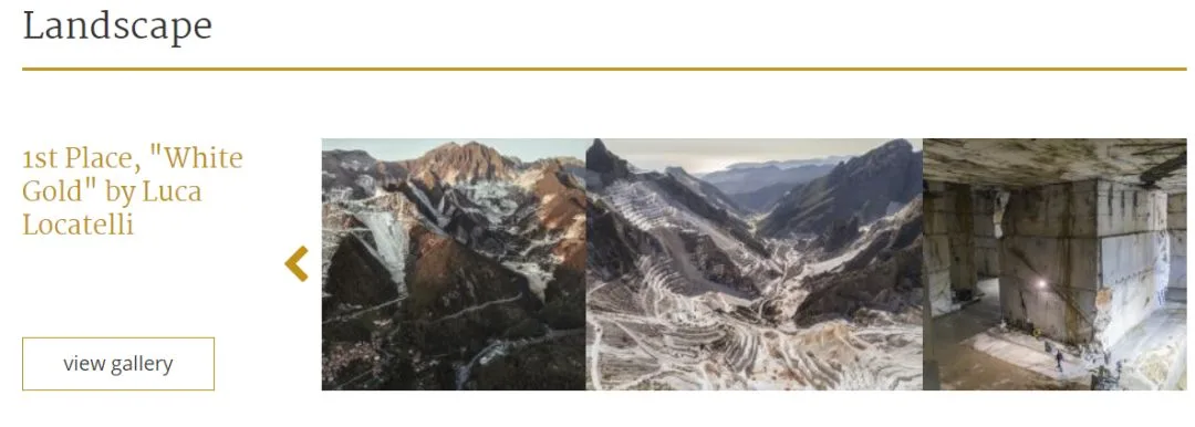 关于摄影比赛，这里有一份最详细的入门指南