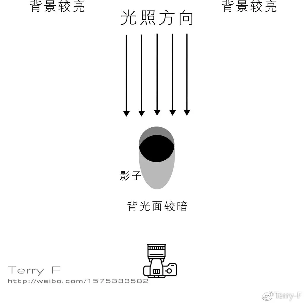 一篇文章，理解人像摄影布光要点