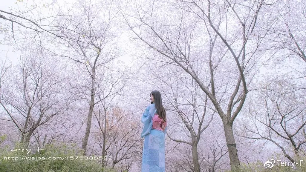 一篇文章，理解人像摄影布光要点