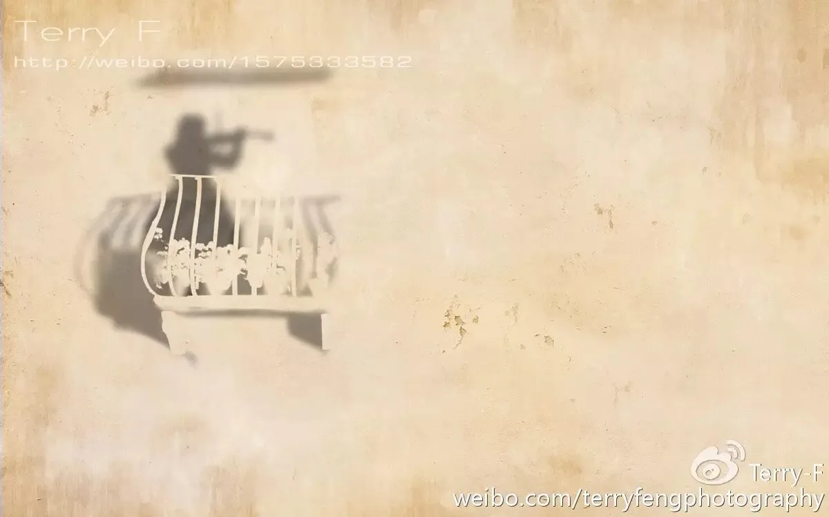 推荐 | 人像摄影自然光全攻略