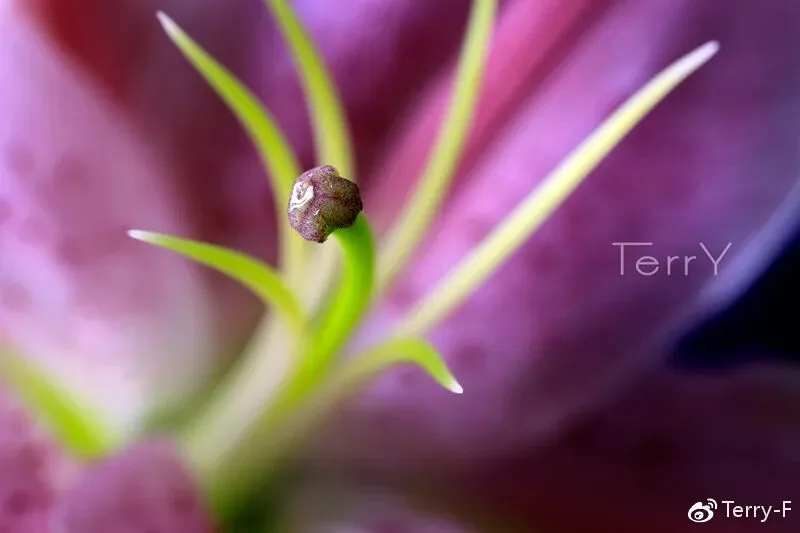 突破瓶颈：人像摄影该如何更进一步