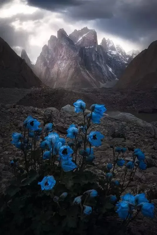摄影后期，技术并不是最重要的！
