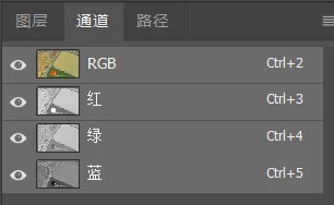 深入浅出理解Photoshop通道，学会调色和选区新技能
