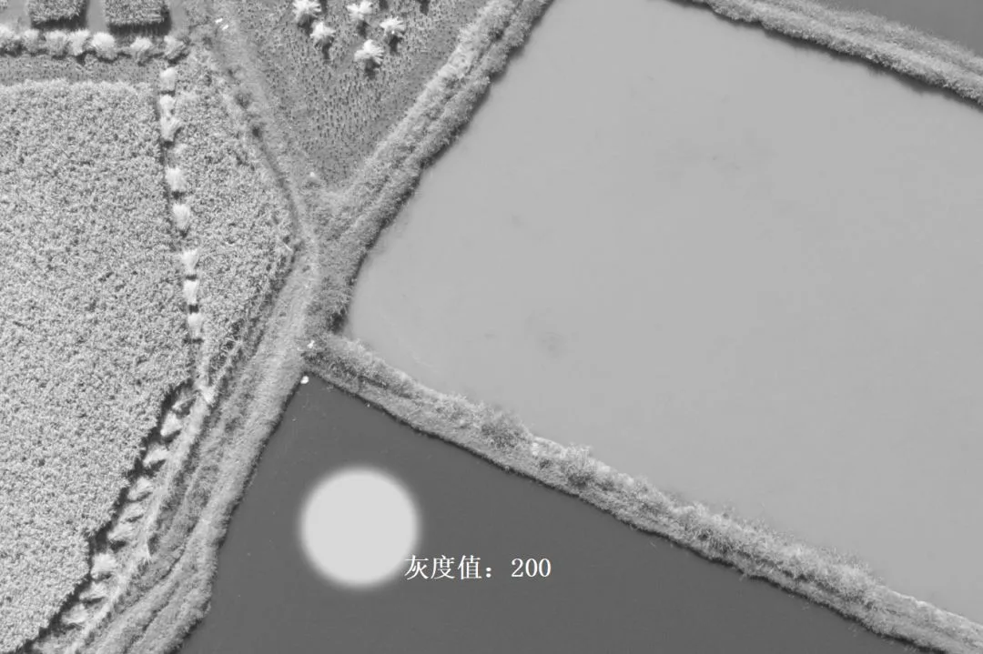 深入浅出理解Photoshop通道，学会调色和选区新技能
