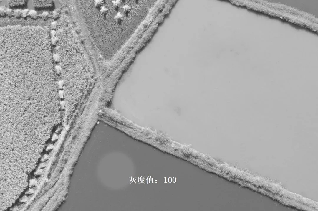 深入浅出理解Photoshop通道，学会调色和选区新技能