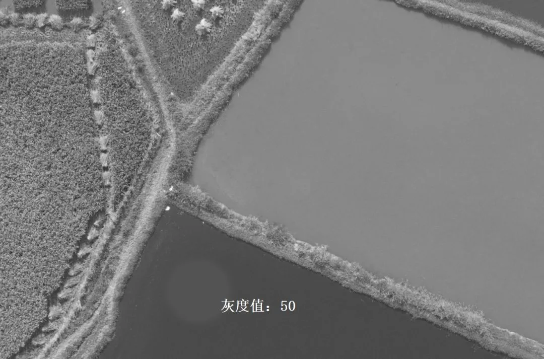 深入浅出理解Photoshop通道，学会调色和选区新技能